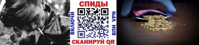 где купить   Отрадное  БУТИРАТ буратино 