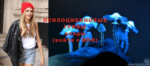 герыч Майский