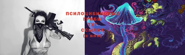 герыч Майский