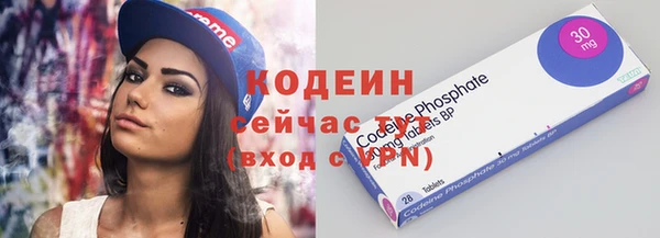 прущие грибы Магас