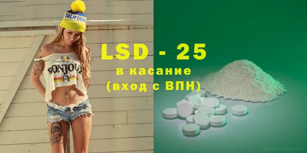 прущие грибы Магас