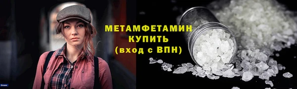 прущие грибы Магас