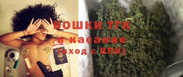 прущие грибы Магас