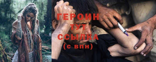 прущие грибы Магас